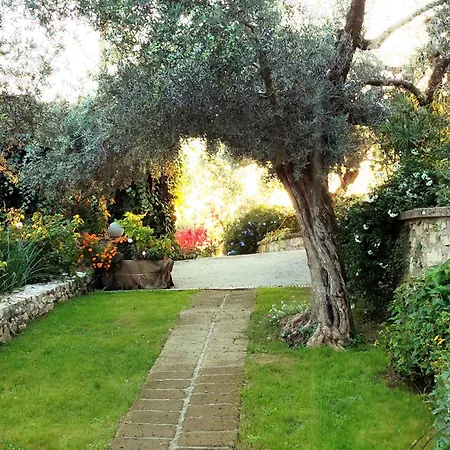 La Casetta Indipendente, Con Ampio Spazio Fontechiari