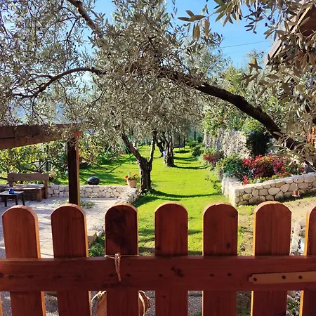 La Casetta Indipendente, Con Ampio Spazio Fontechiari